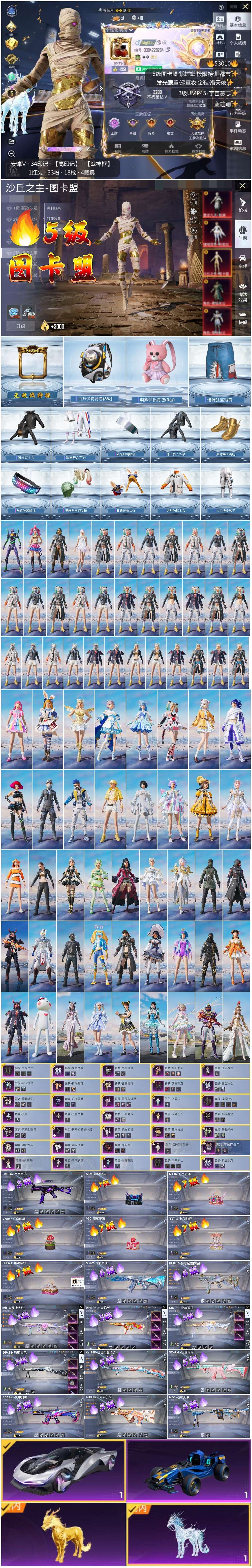 HPSJ3428530和平精英账号详情图5 HPSJ3428530和平精英账号详情图5