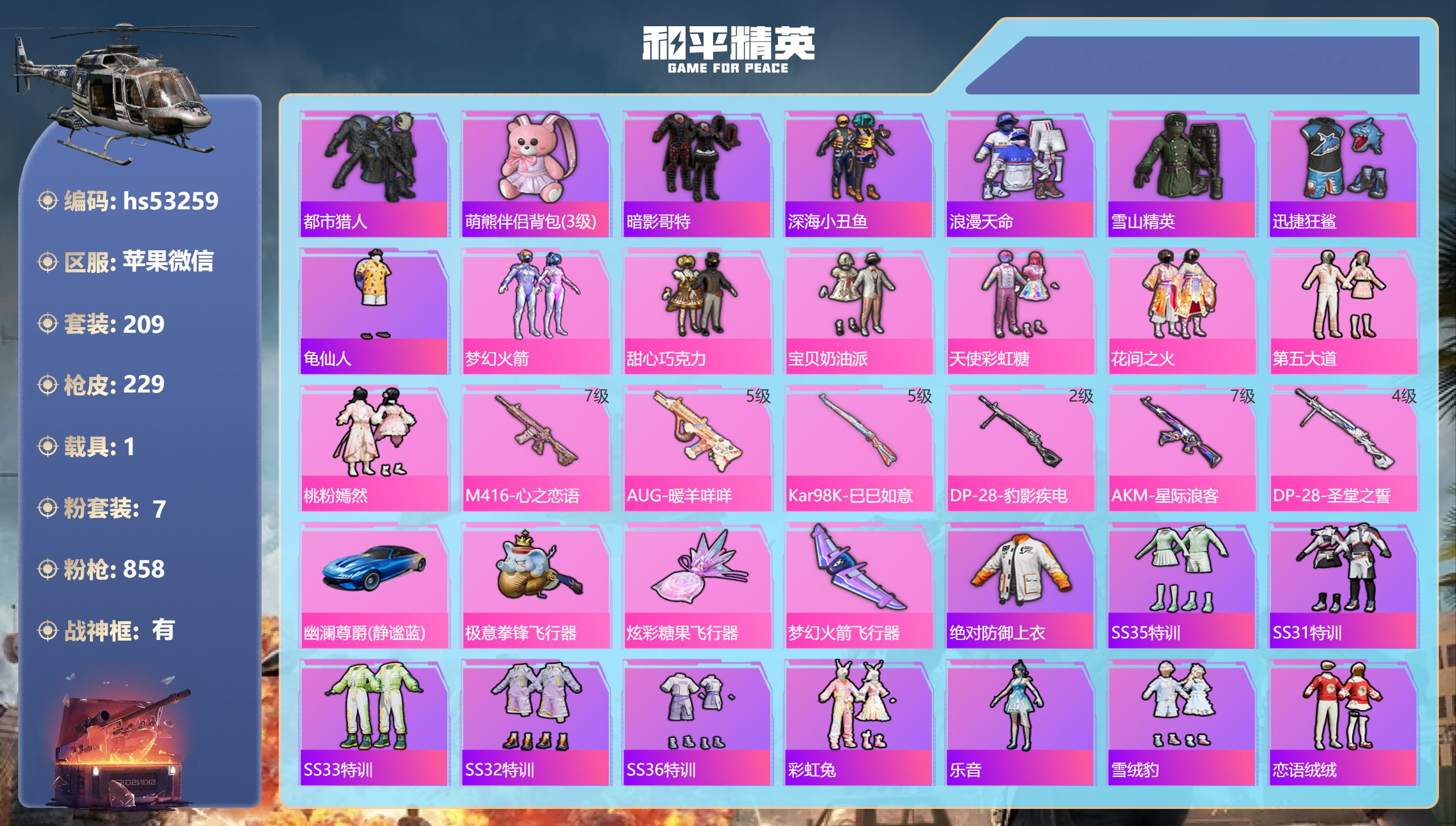 和平精英账号苹果微信hs53259 苹果微信-30王牌印记-有战神框-7粉装-6特效枪-1载具-76481热力值-209