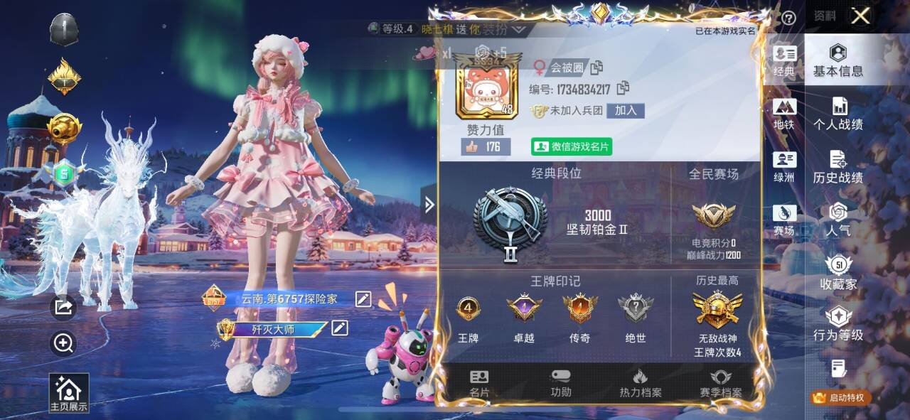 HPSJ3430482和平精英账号详情图2