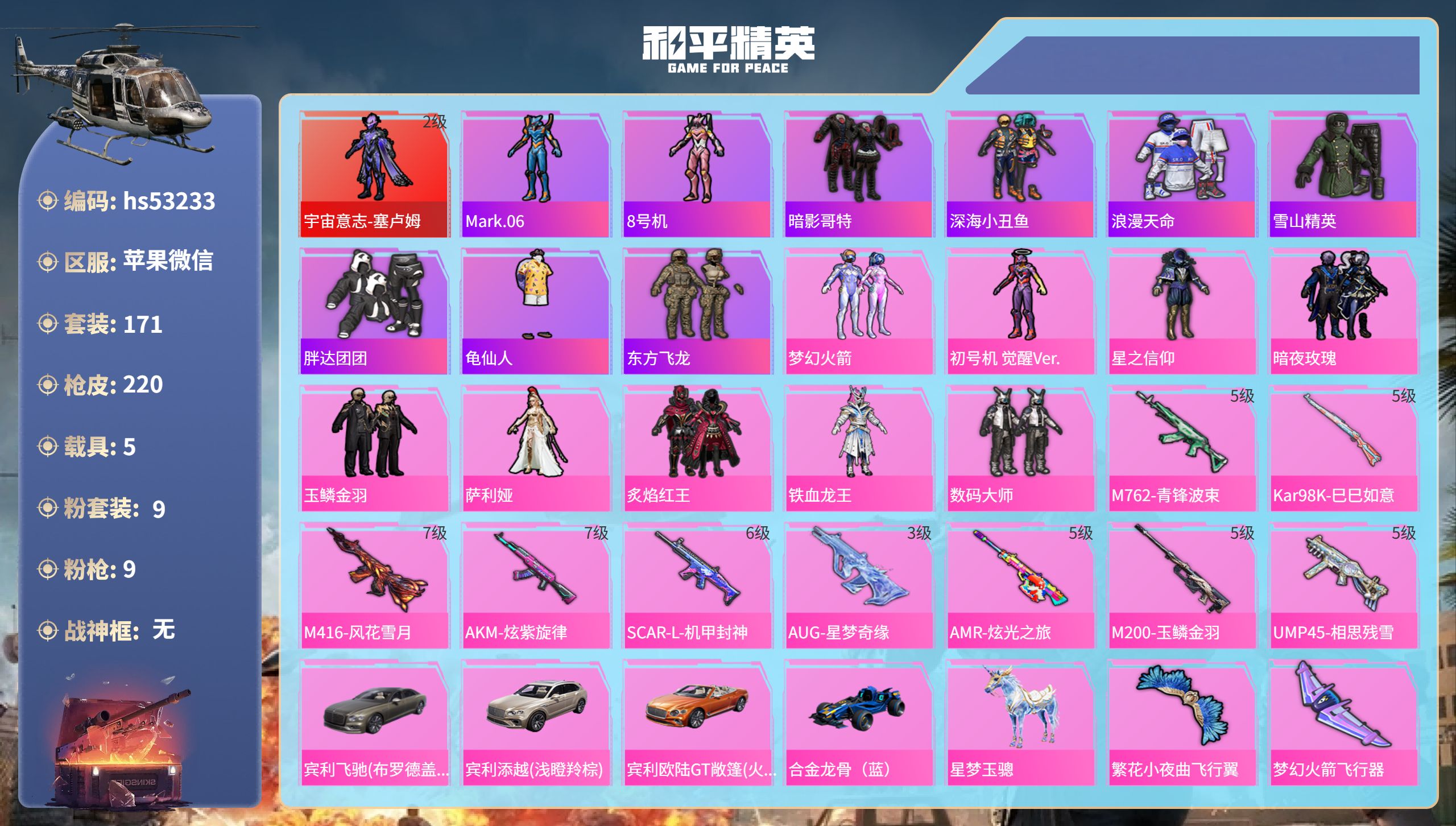 和平精英账号苹果微信hs53233 苹果微信-12王牌印记-1红装-9粉装-9特效枪-5载具-83316热力值-171套