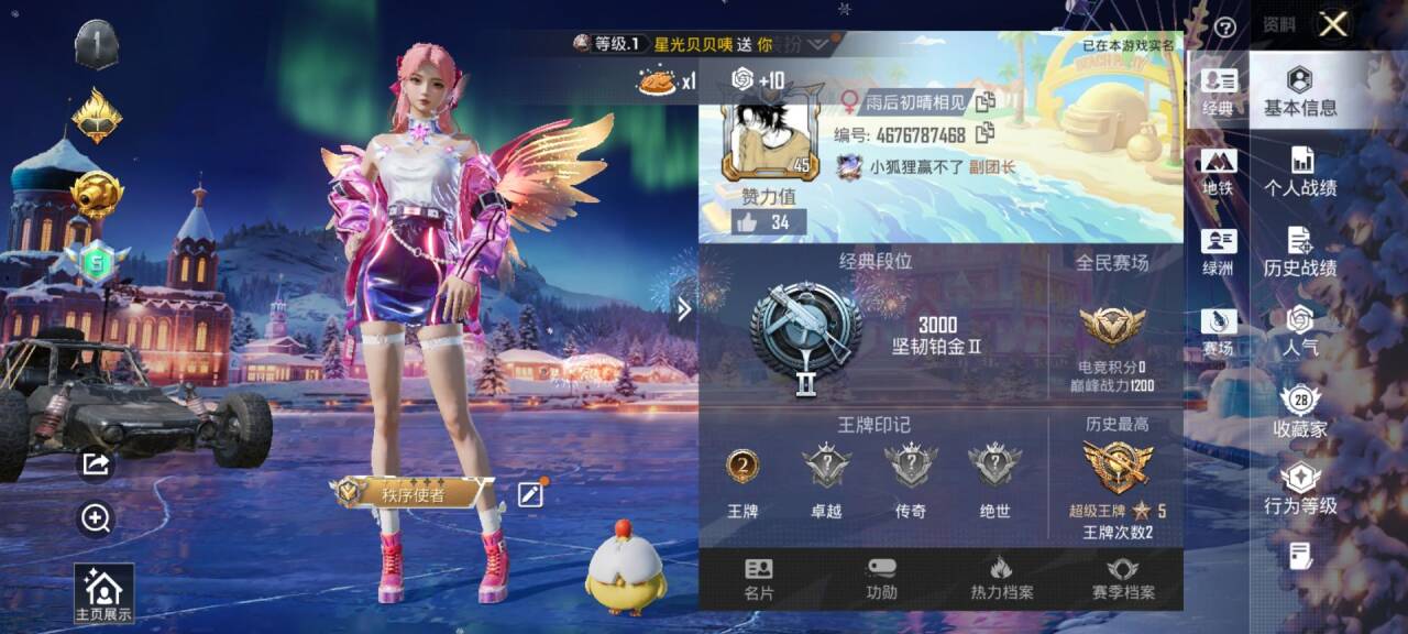 HPSJ3435081和平精英账号详情图3