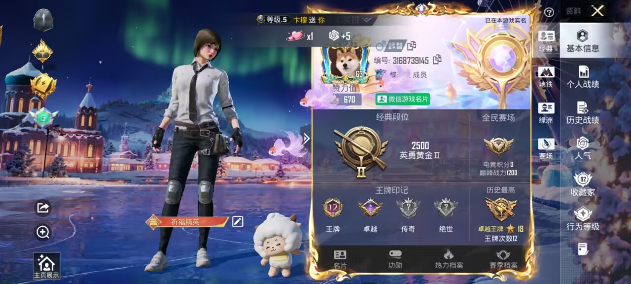 HPSJ3430573和平精英账号详情图2 HPSJ3430573和平精英账号详情图2