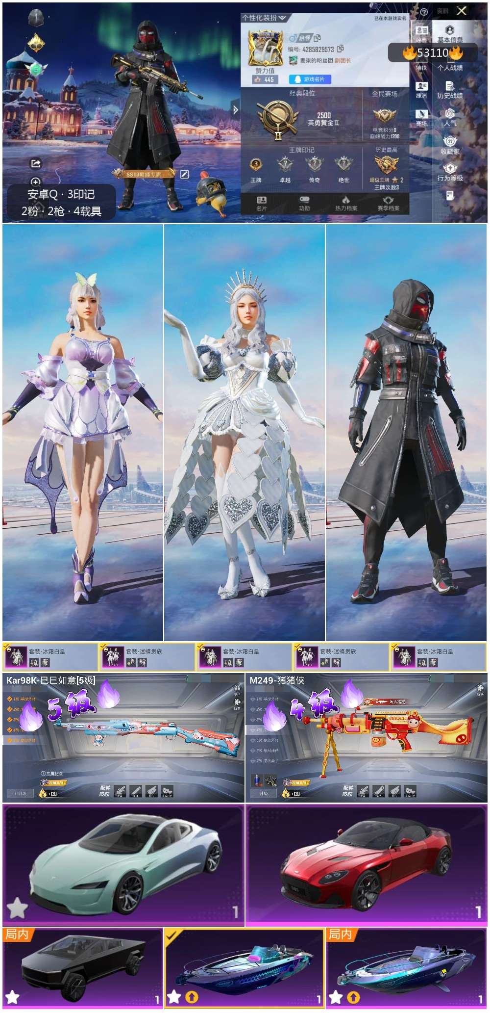 HPSJ3435071和平精英账号详情图5