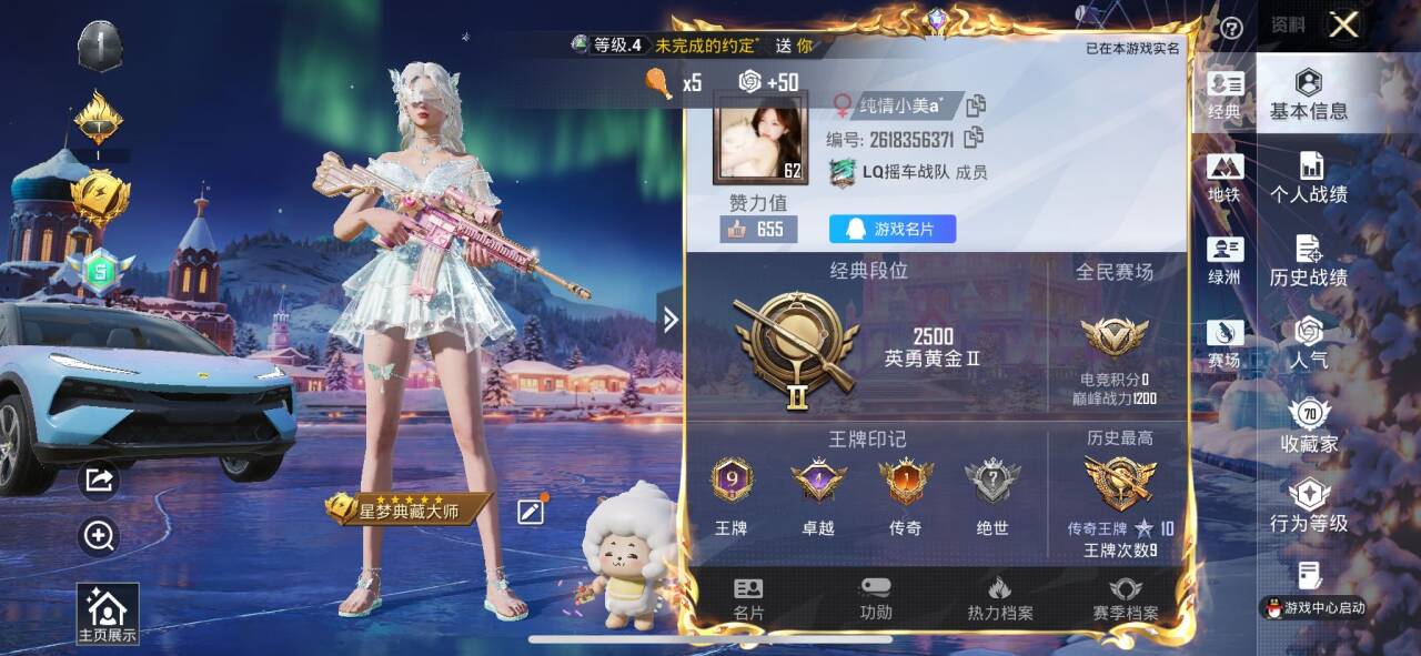 HPSJ3435087和平精英账号详情图3