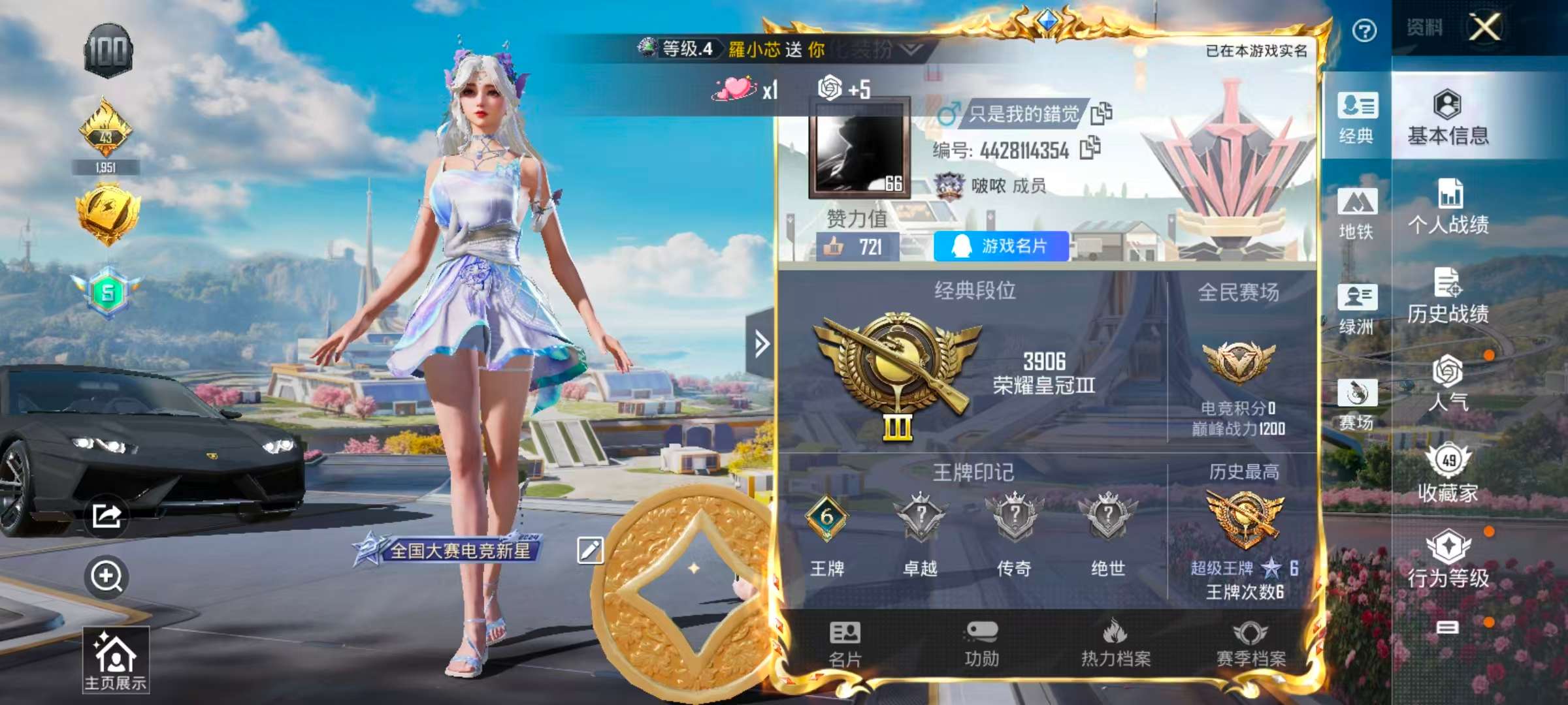 HPSJ3433416和平精英账号详情图2