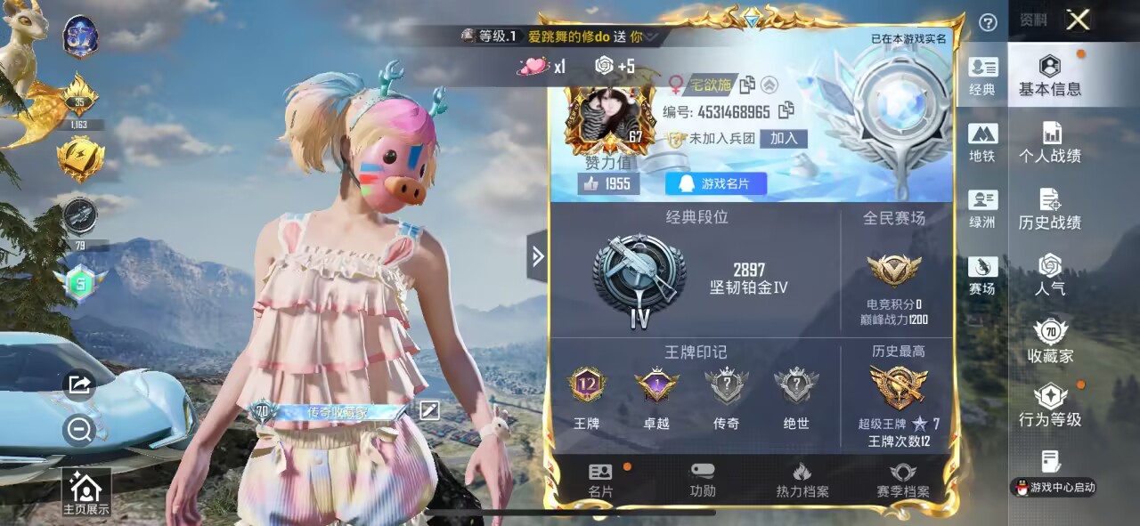 HPSJ3436767和平精英账号详情图2 HPSJ3436767和平精英账号详情图2