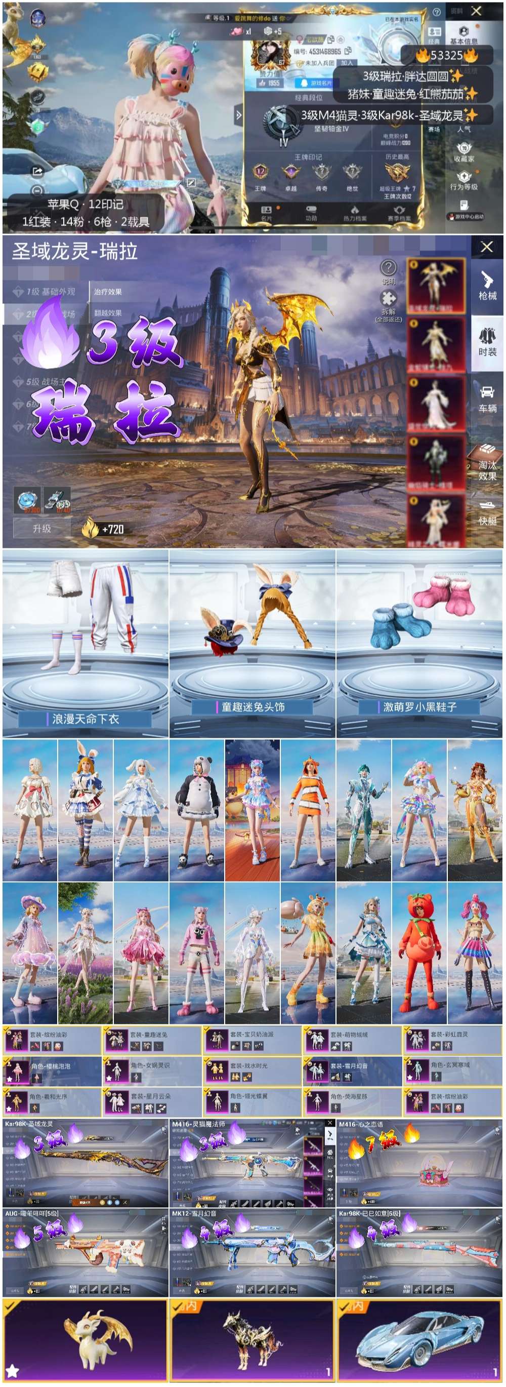 HPSJ3436767和平精英账号详情图3 HPSJ3436767和平精英账号详情图3