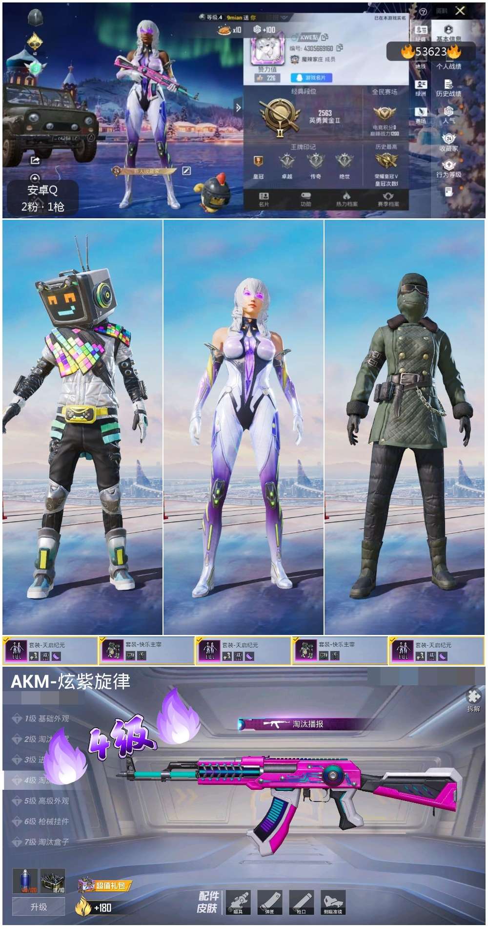 HPSJ3437459和平精英账号详情图3