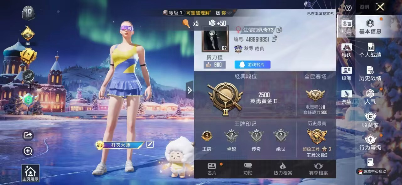 HPSJ3433910和平精英账号详情图2