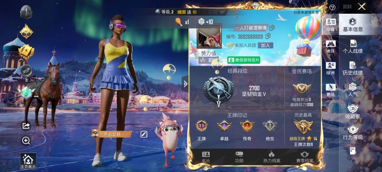 HPSJ3434276和平精英账号详情图2