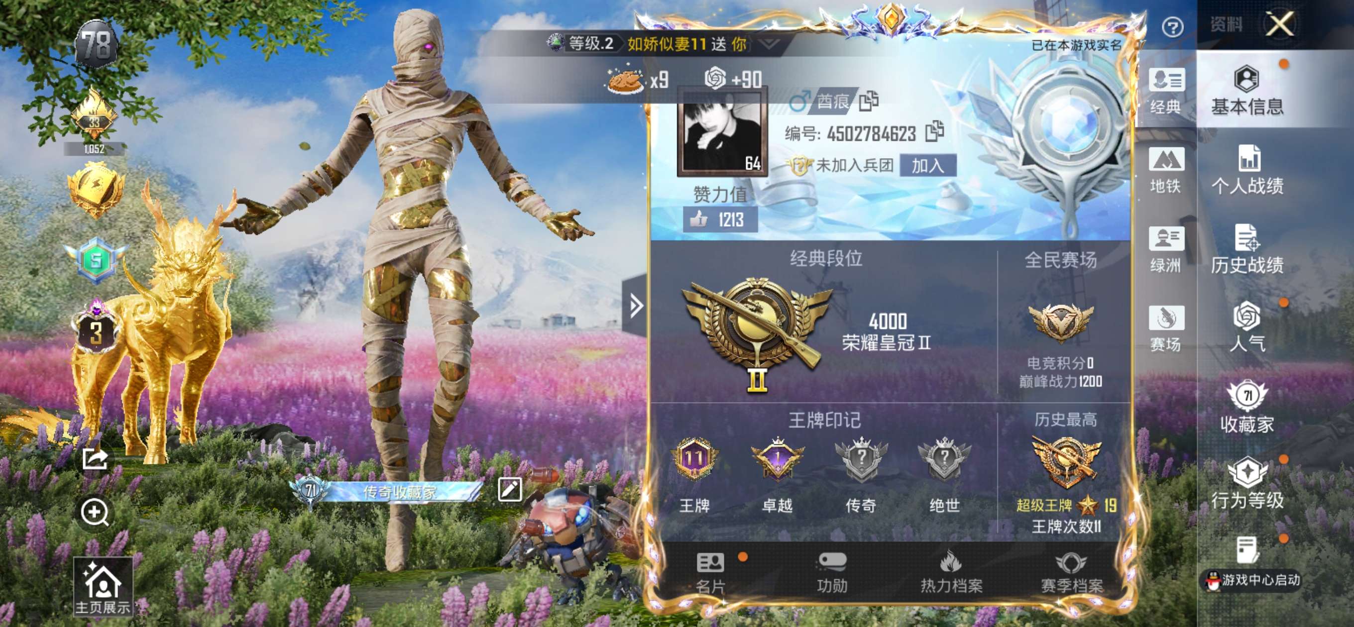 HPSJ3437470和平精英账号详情图2