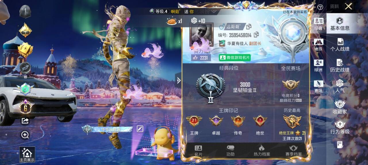 HPSJ3434299和平精英账号详情图3