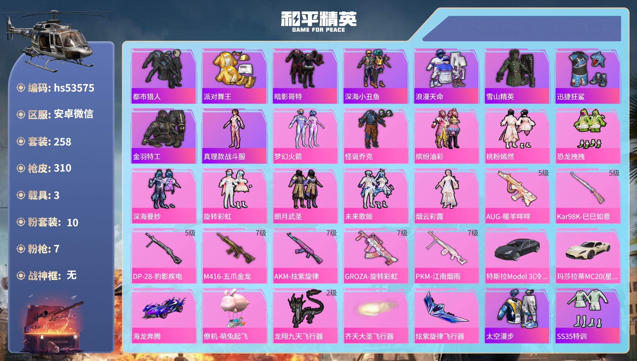和平精英账号安卓微信hs53575 安卓微信-9王牌印记-10粉装-7特效枪-3载具-热力值-258套装-310枪皮
【
