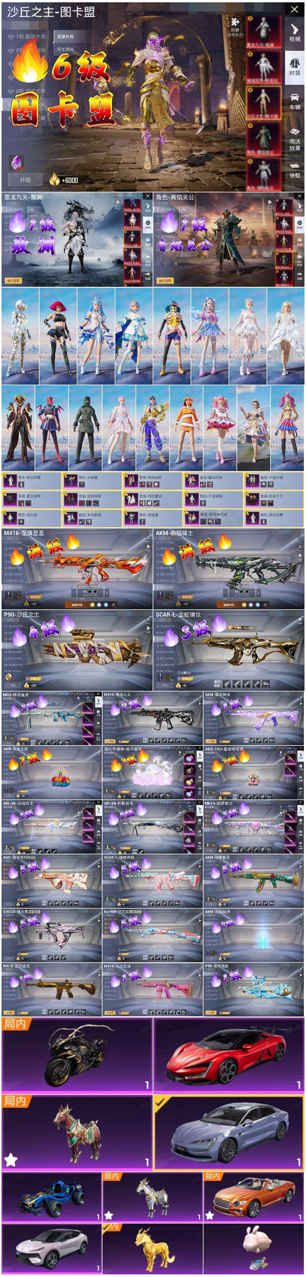 HPSJ3434299和平精英账号详情图4