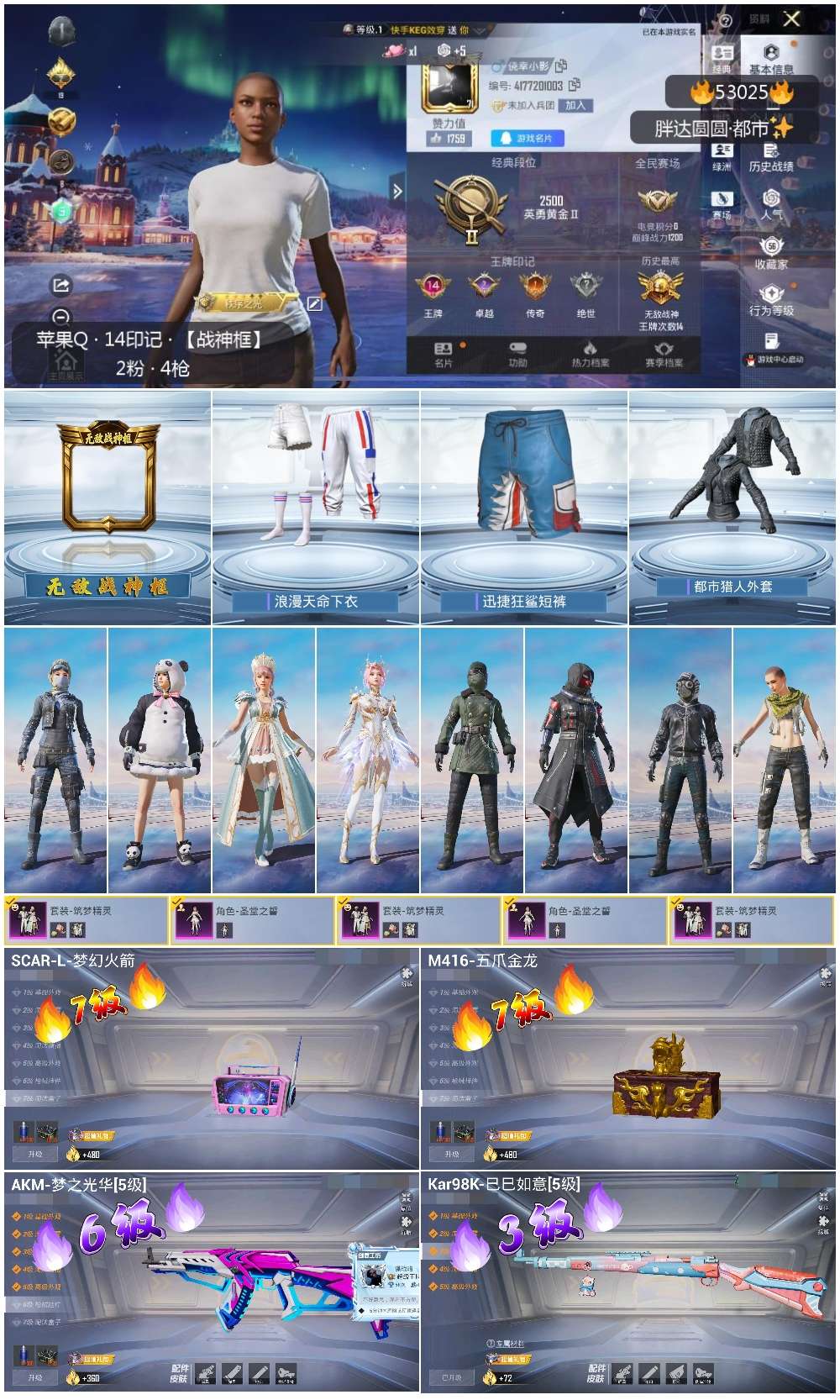 HPSJ3433983和平精英账号详情图3 HPSJ3433983和平精英账号详情图3