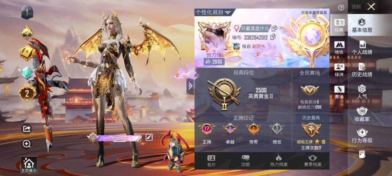 HPSJ3434376和平精英账号详情图2