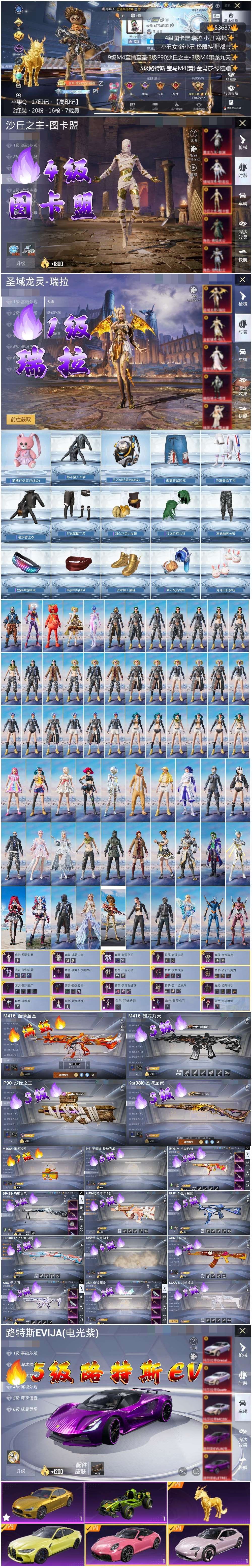 HPSJ3439460和平精英账号详情图3