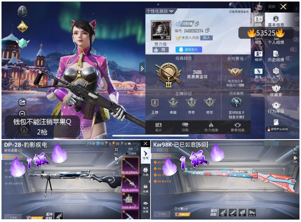 HPSJ3437540和平精英账号详情图4