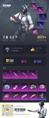 HPSJ3435440和平精英账号详情图3