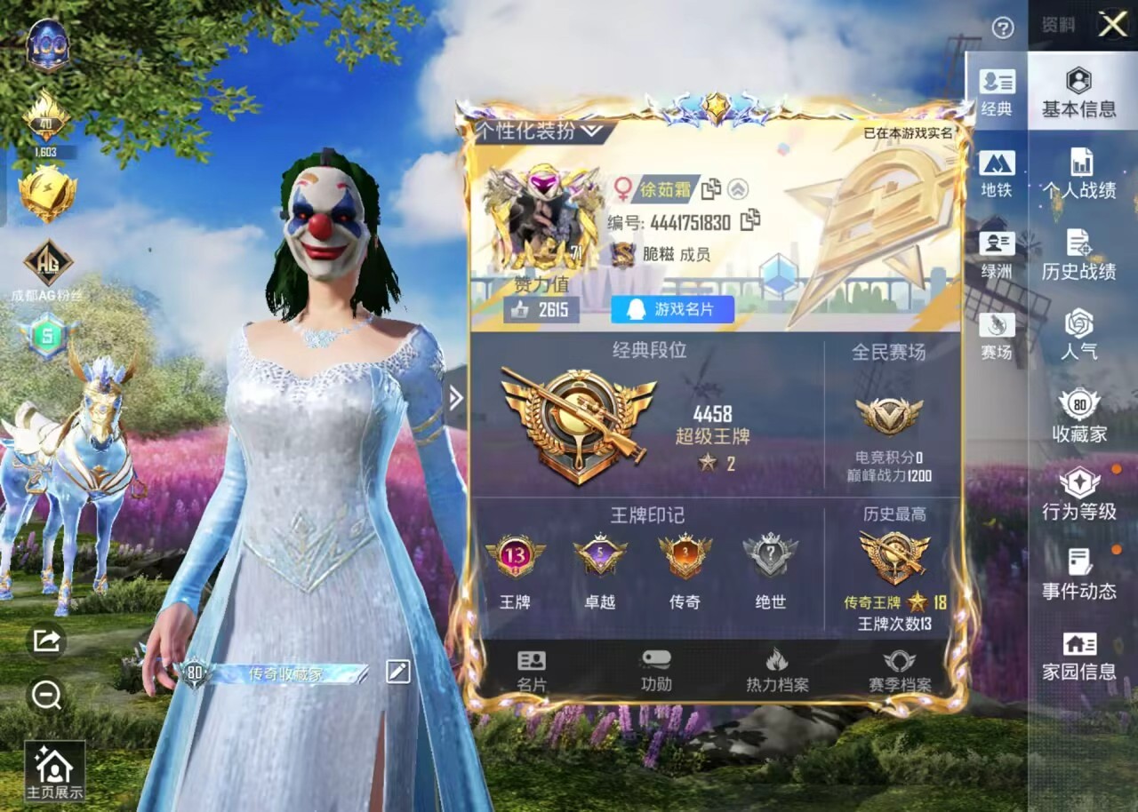 HPSJ3435678和平精英账号详情图4