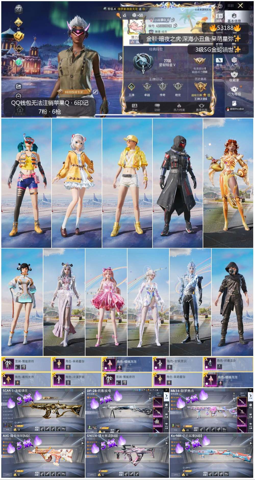 HPSJ3435137和平精英账号详情图3 HPSJ3435137和平精英账号详情图3