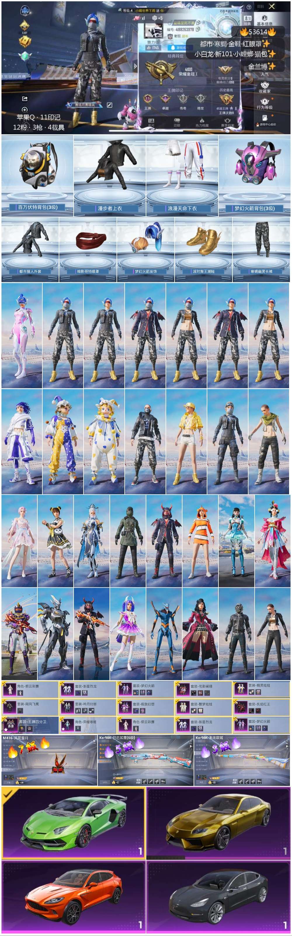 HPSJ3437036和平精英账号详情图3 HPSJ3437036和平精英账号详情图3