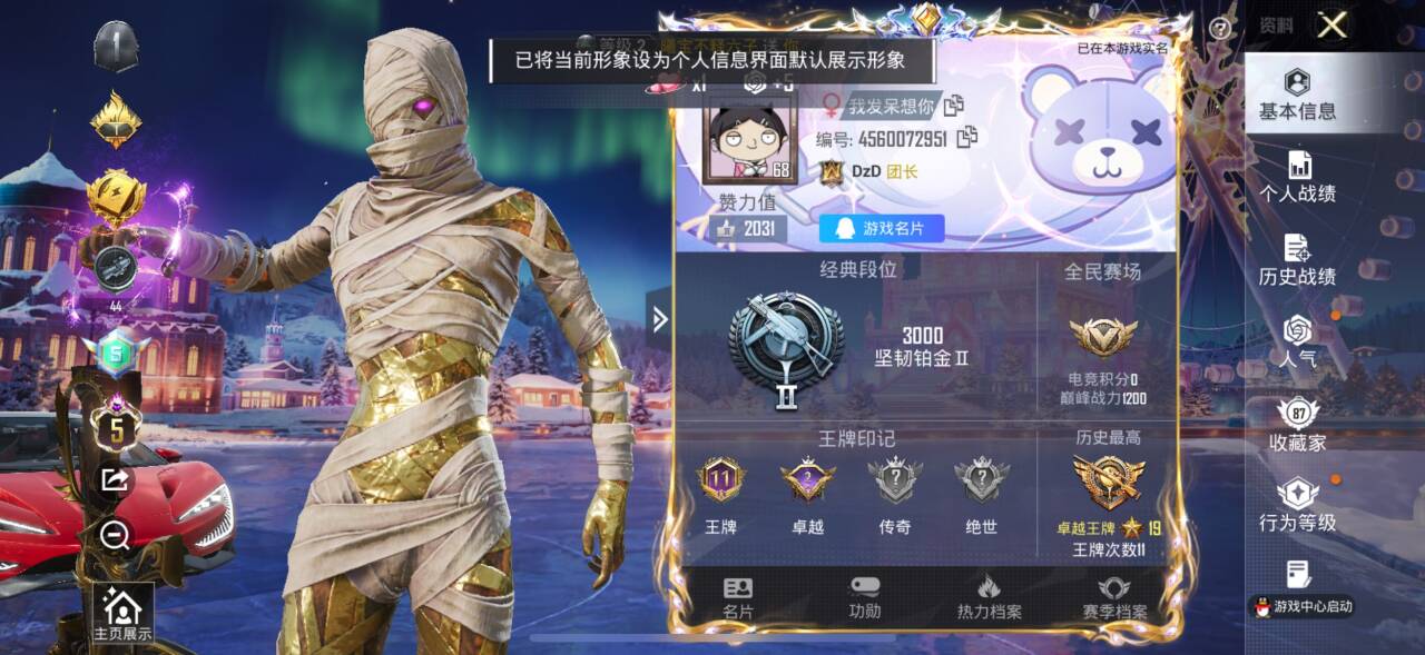 HPSJ3441841和平精英账号详情图2