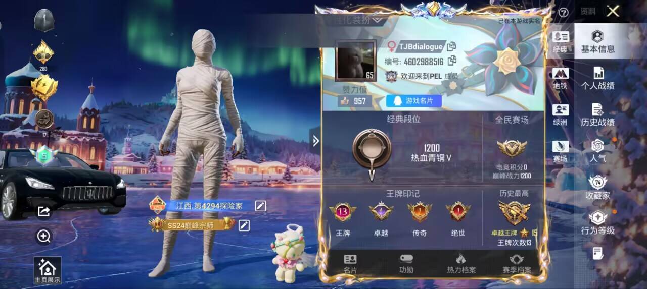 HPSJ3437554和平精英账号详情图4