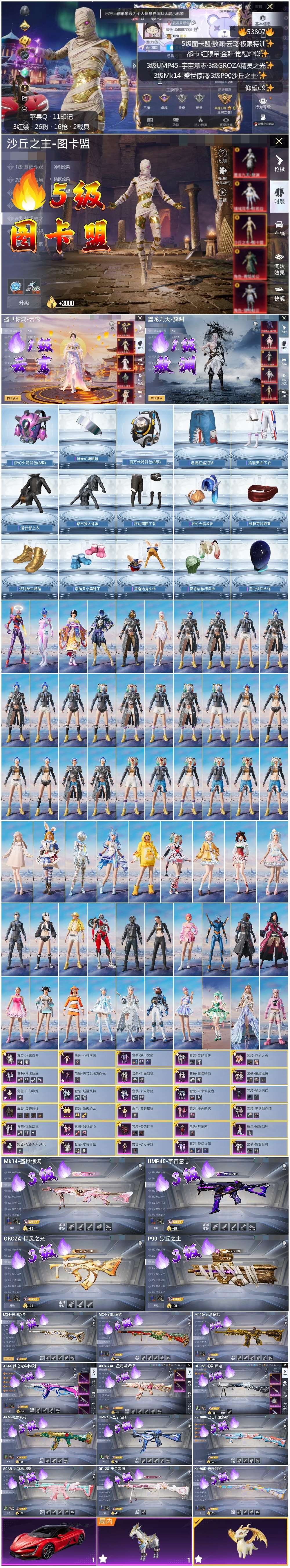 HPSJ3441841和平精英账号详情图4