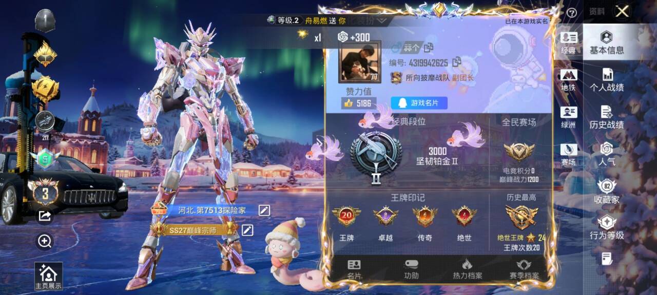 HPSJ3437547和平精英账号详情图2