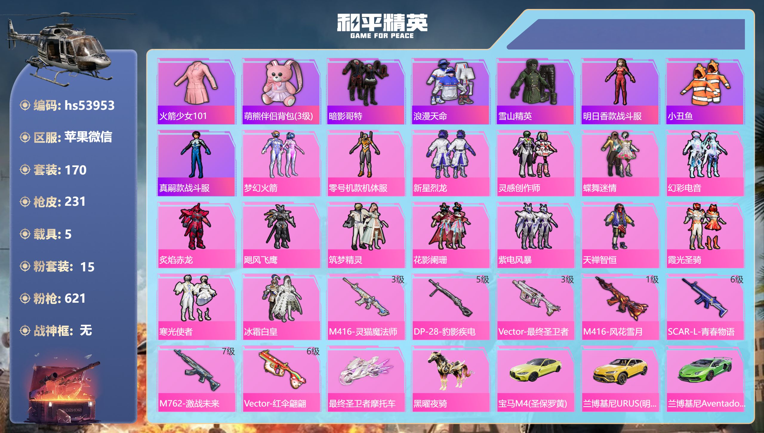 和平精英账号苹果微信hs53953 苹果微信-15王牌印记-15粉装-7特效枪-5载具-82452热力值-170套装-2