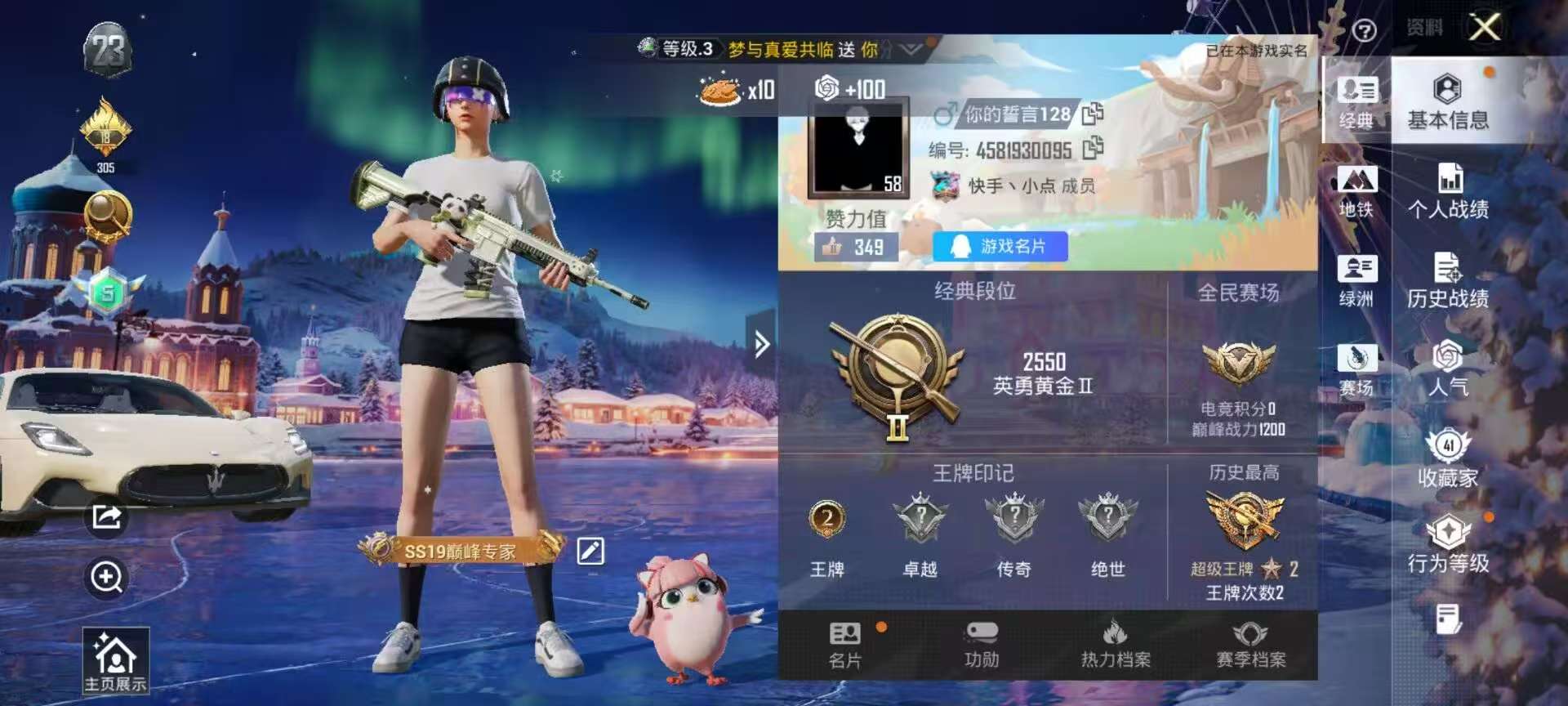 HPSJ3437753和平精英账号详情图2