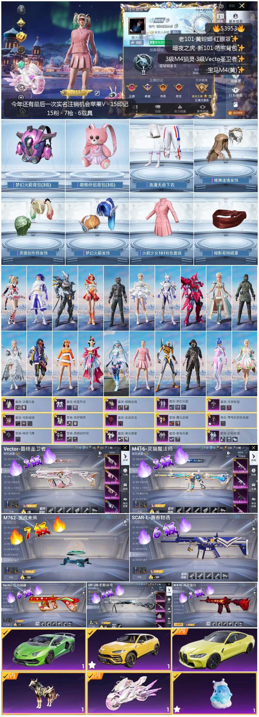 HPSJ3437602和平精英账号详情图3