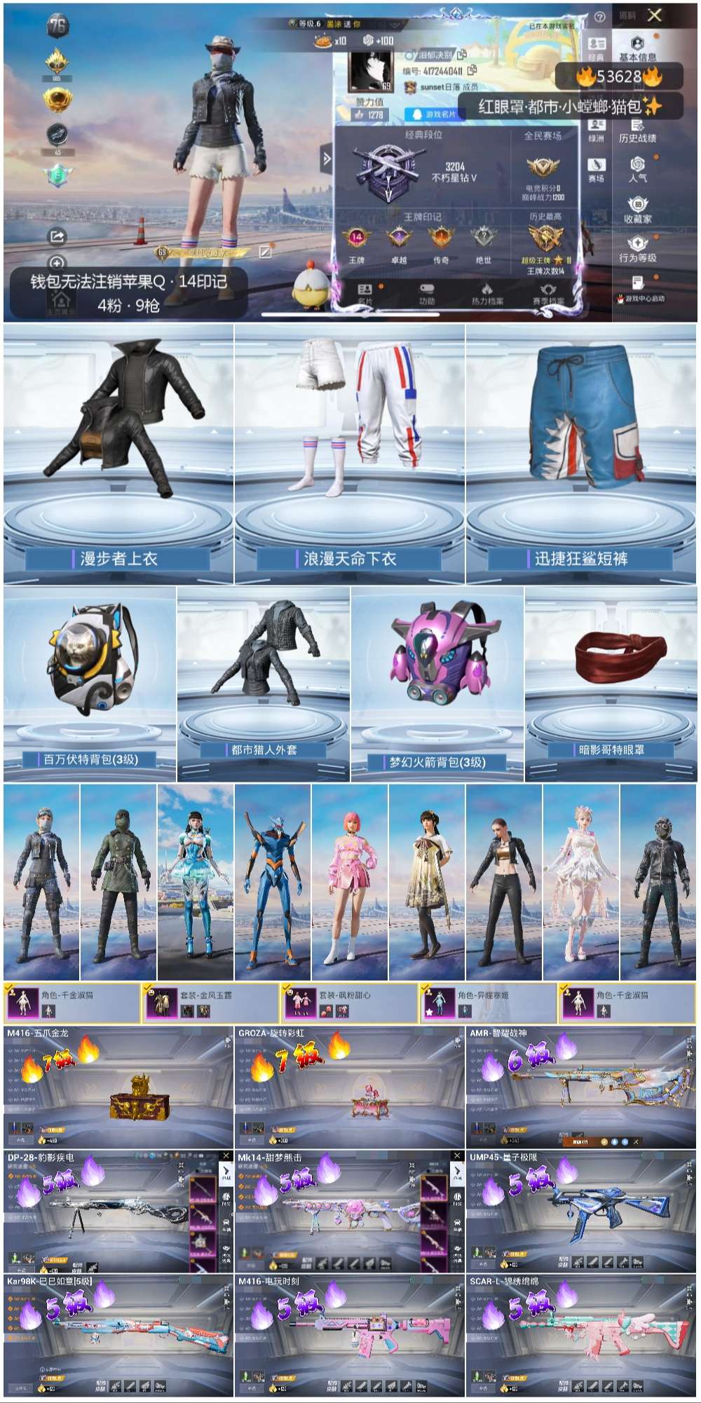 HPSJ3437661和平精英账号详情图4