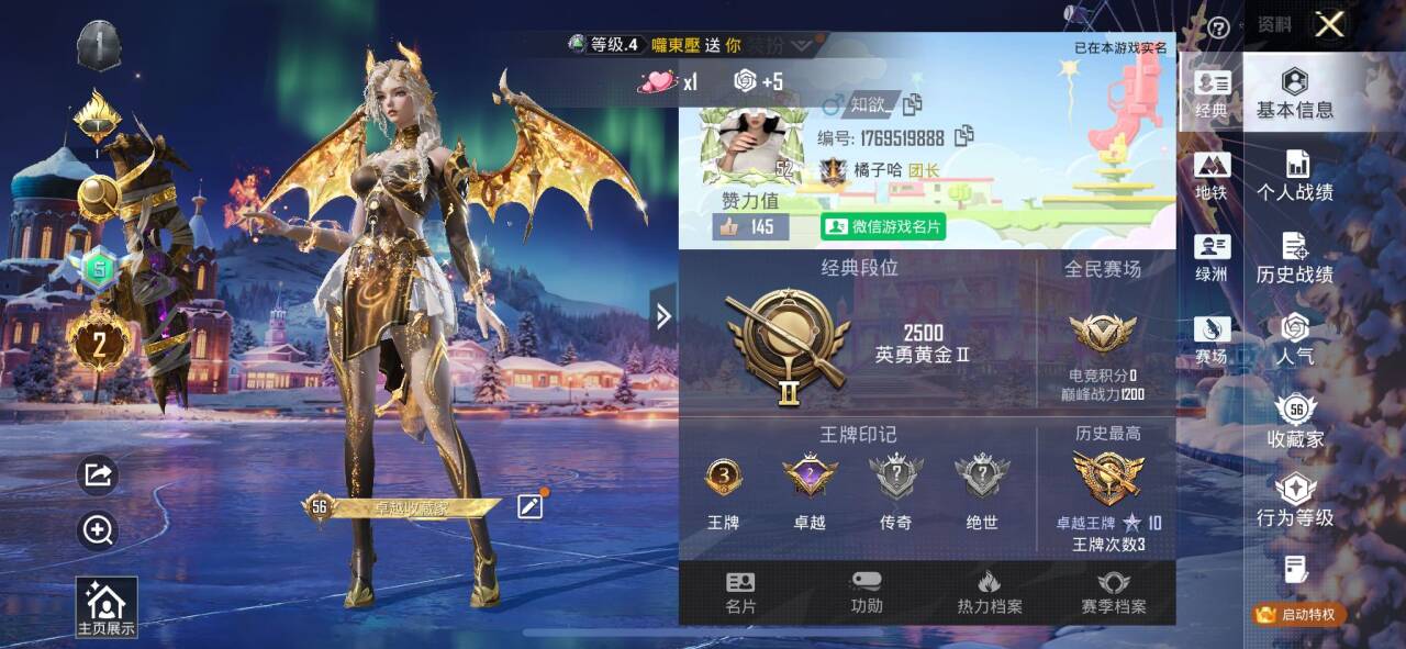 HPSJ3437653和平精英账号详情图2