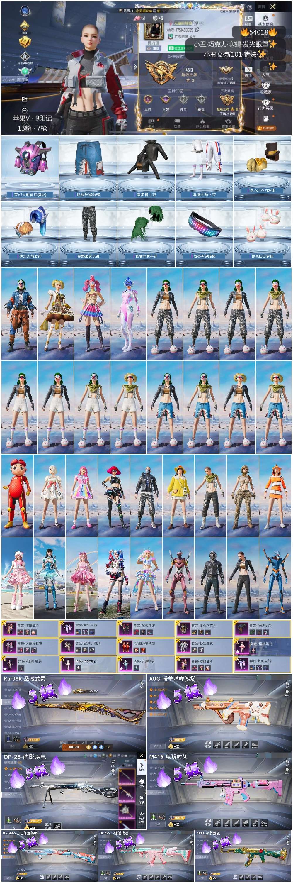 HPSJ3437607和平精英账号详情图3