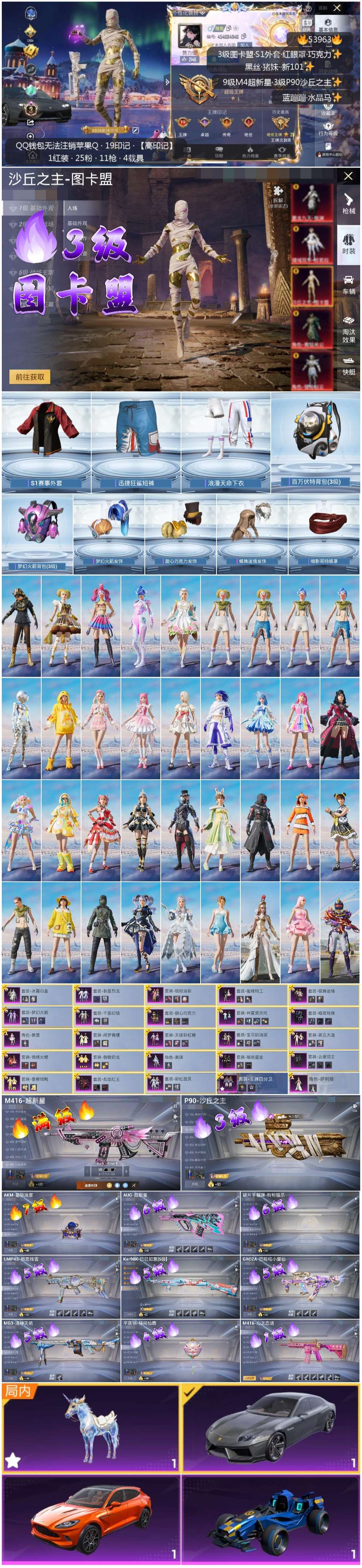 HPSJ3443460和平精英账号详情图3