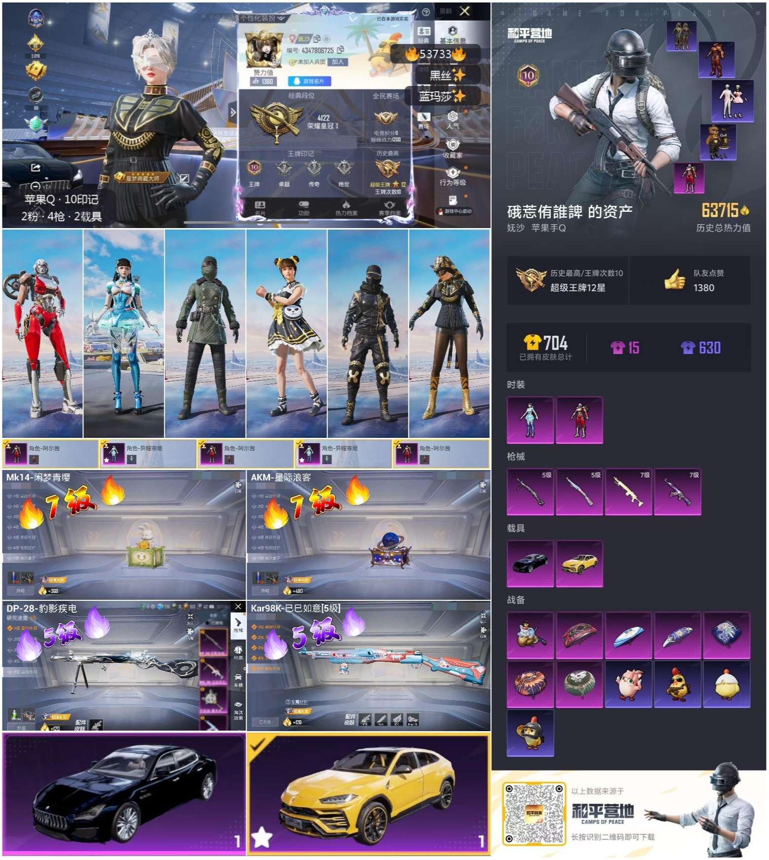 HPSJ3439398和平精英账号详情图3