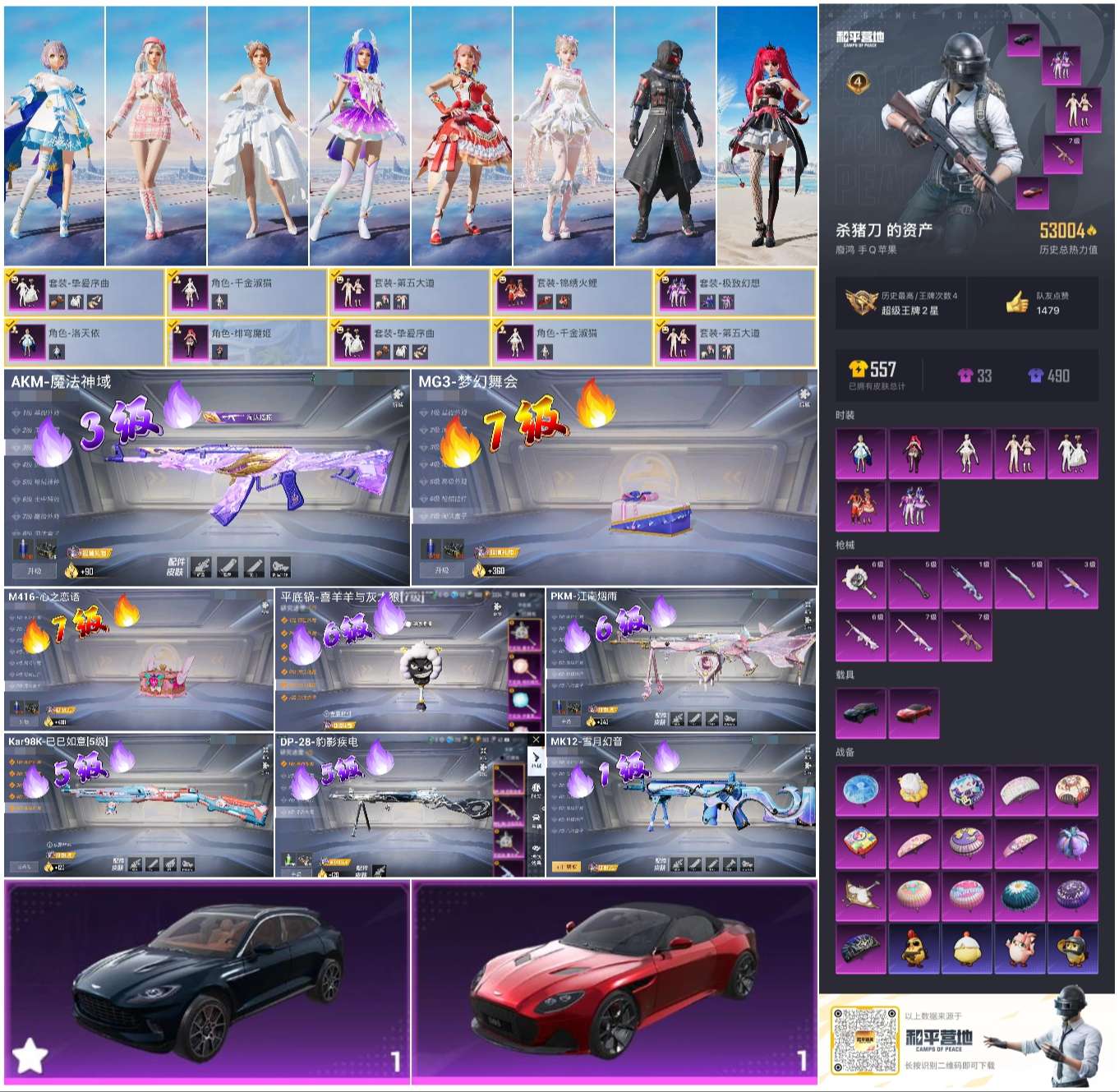 HPSJ3404948和平精英账号详情图5 HPSJ3404948和平精英账号详情图5