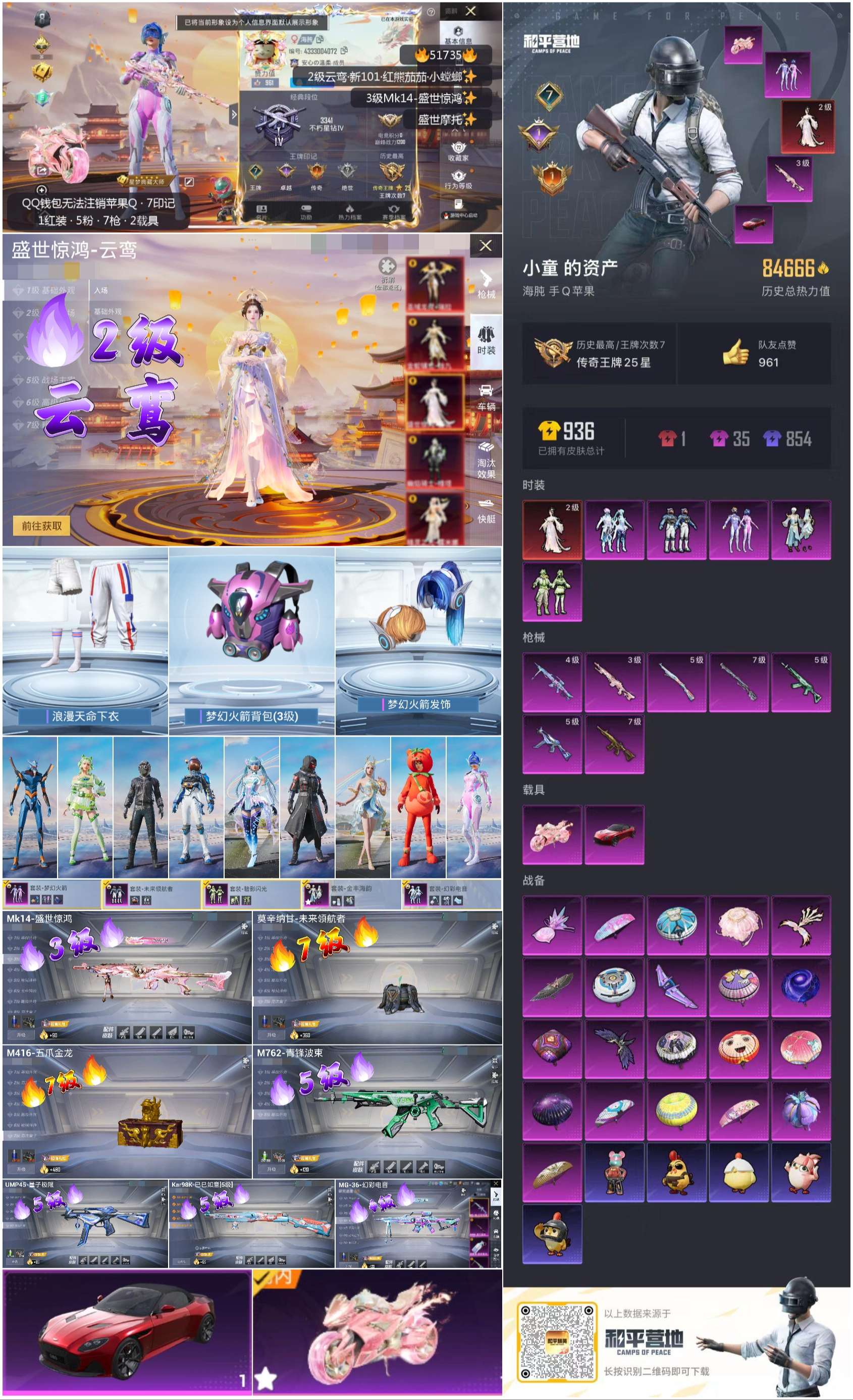 HPSJ3408919和平精英账号详情图3 HPSJ3408919和平精英账号详情图3