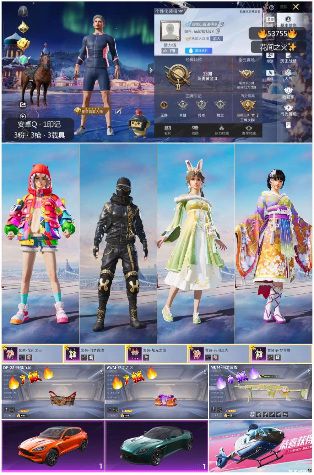 HPSJ3439553和平精英账号详情图4