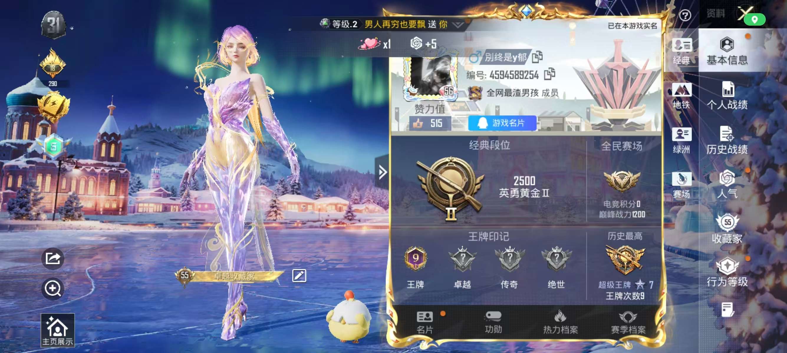 HPSJ3444858和平精英账号详情图2