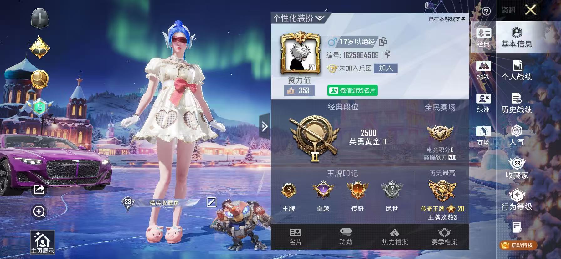 HPSJ3439802和平精英账号详情图2