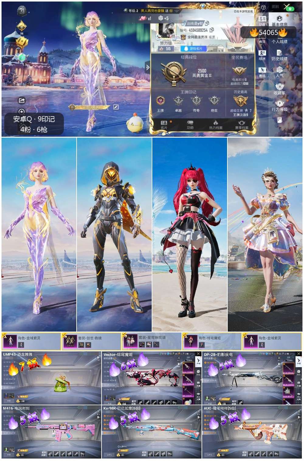 HPSJ3444858和平精英账号详情图3