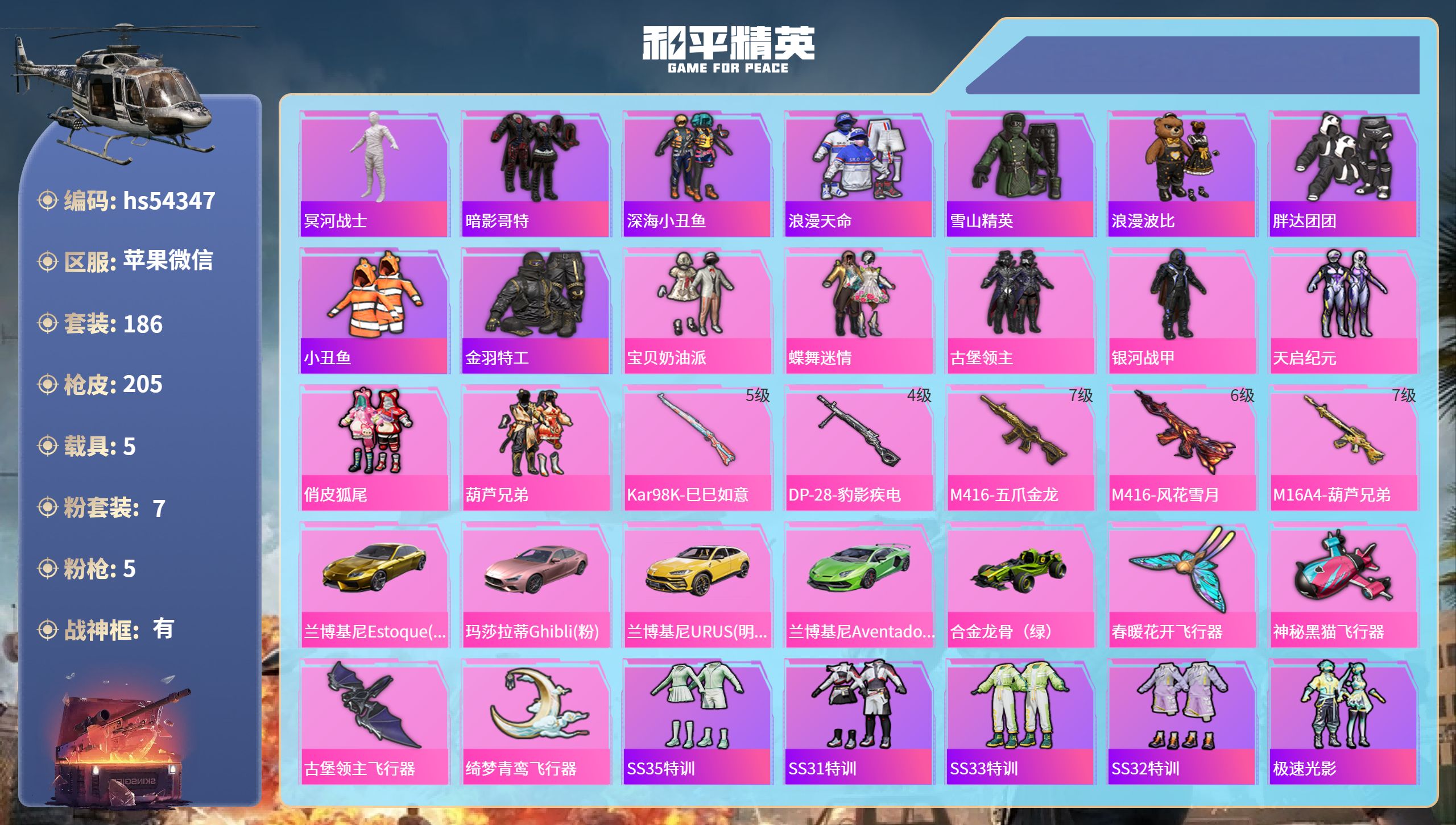 和平精英账号苹果微信hs54347 苹果微信-22王牌印记-有战神框-7粉装-5特效枪-5载具-81484热力值-186