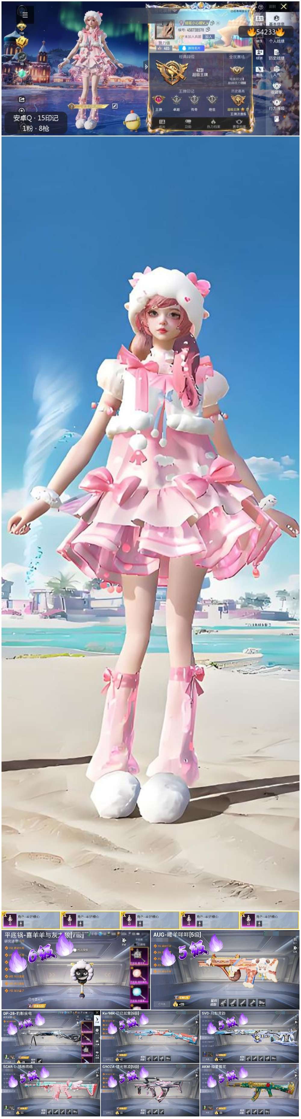 HPSJ3446134和平精英账号详情图4