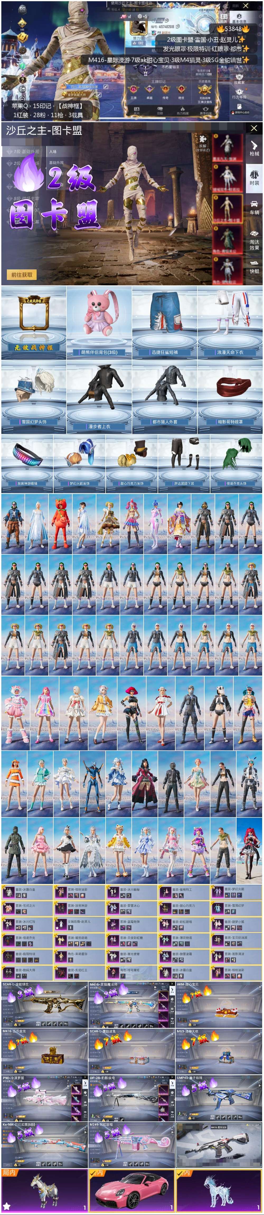 HPSJ3441936和平精英账号详情图3