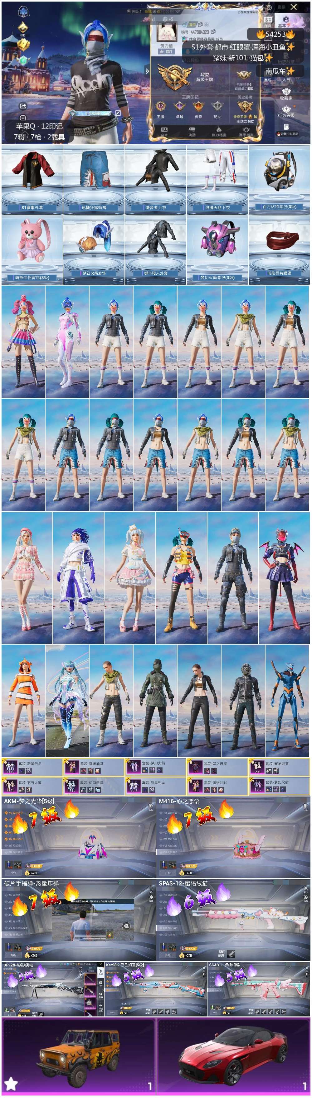 HPSJ3446151和平精英账号详情图3