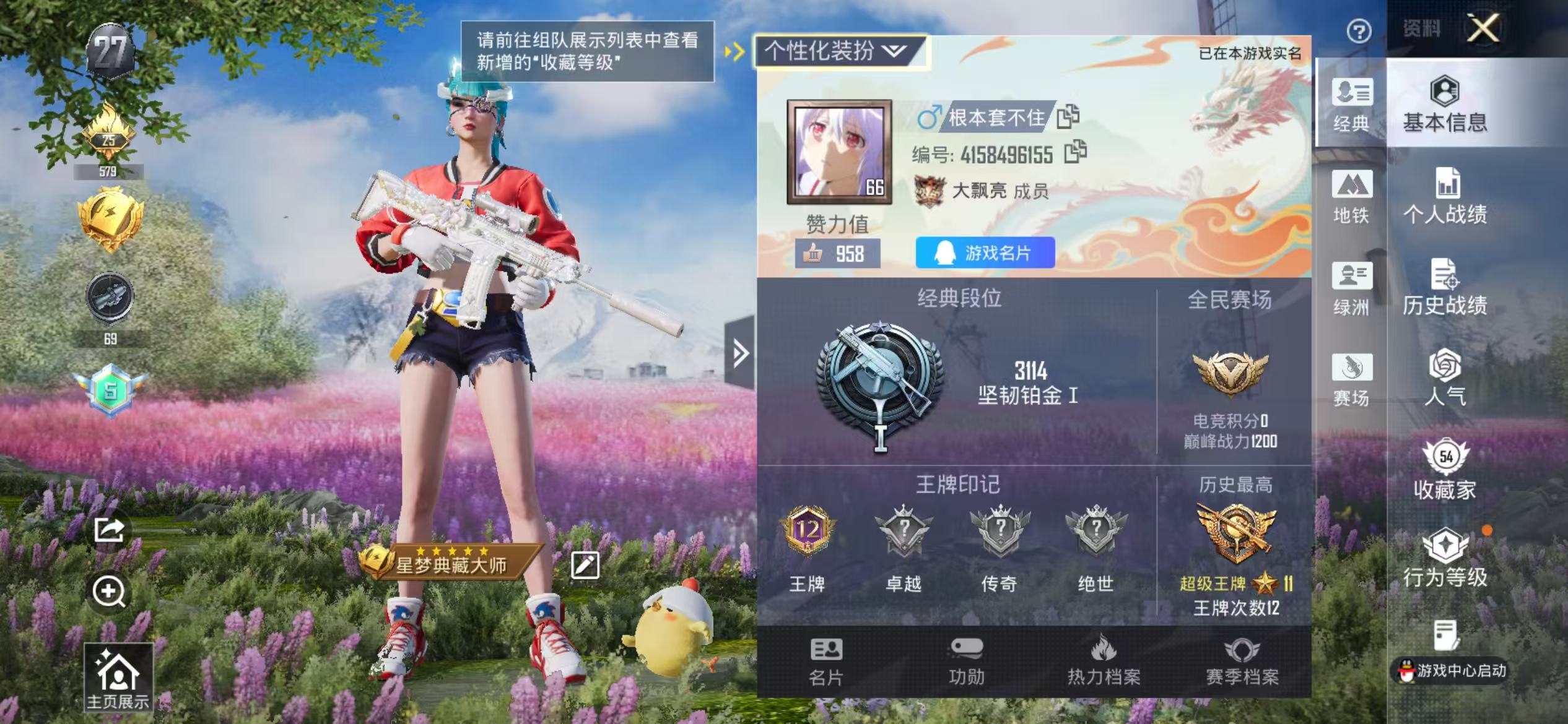 HPSJ3444094和平精英账号详情图4