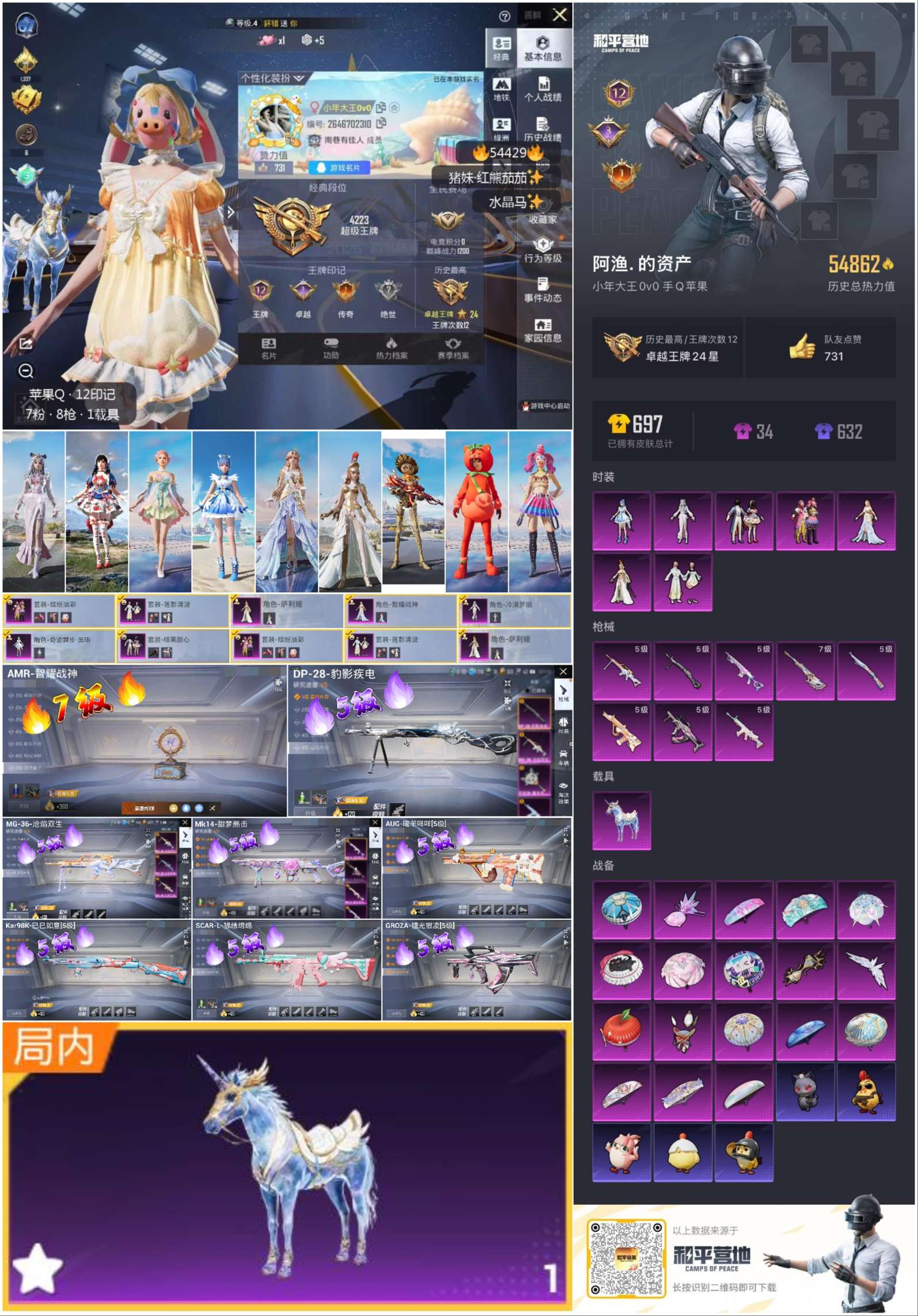 HPSJ3447509和平精英账号详情图3